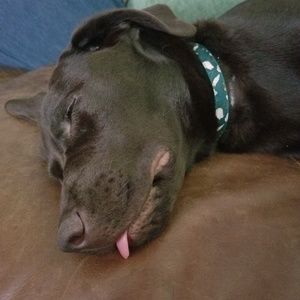 Meet your Posher, Allison